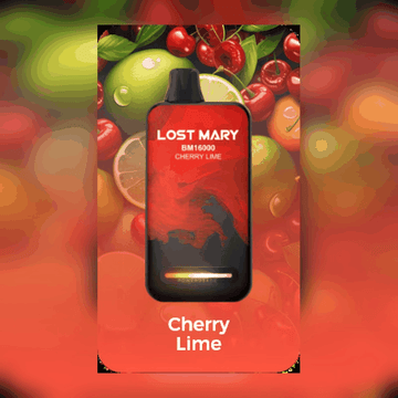LOST MARY