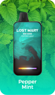 LOST MART BM16000