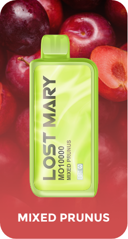 LOST MARY MO10000