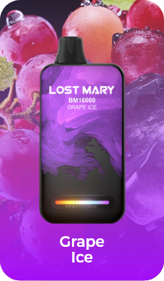 LOST MART BM16000